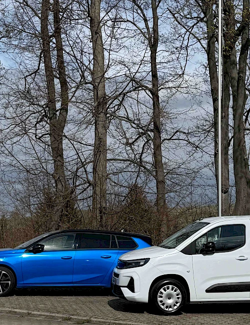 Vermittlung Autovermietung